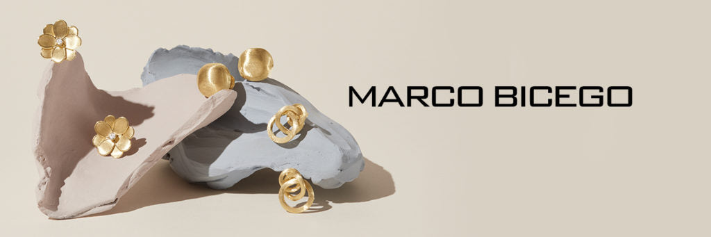 MARCO BICEGO